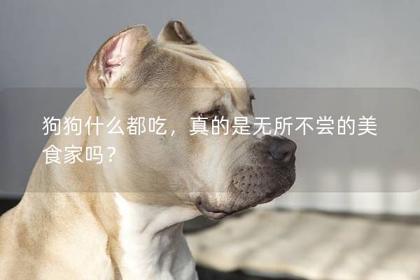 狗狗什么都吃，真的是無所不嘗的美食家嗎？