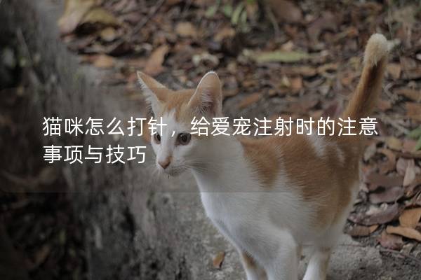 貓咪怎么打針,給愛寵注射時的注意事項與技巧