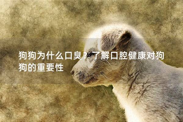 狗狗為什么口臭?了解口腔健康對狗狗的重要性 狗狗為什么口臭?了解口腔健康對狗狗的重要性