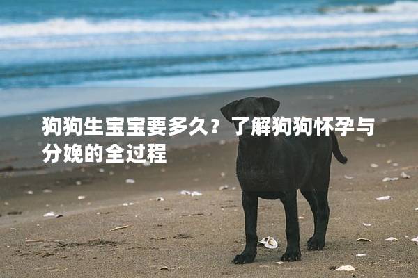 狗狗生寶寶要多久？了解狗狗懷孕與分娩的全過程