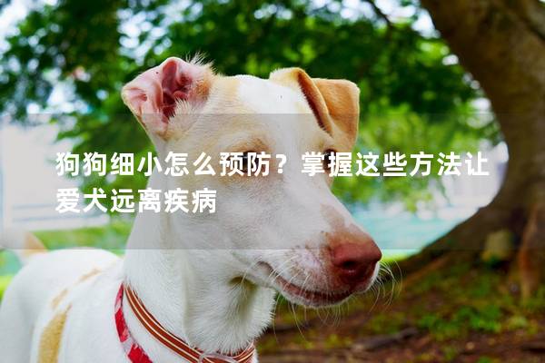 狗狗細小怎么預防？掌握這些方法讓愛犬遠離疾病