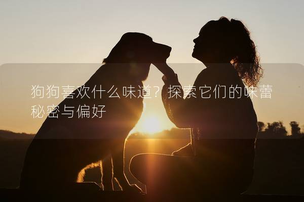 狗狗喜歡什么味道？探索它們的味蕾秘密與偏好