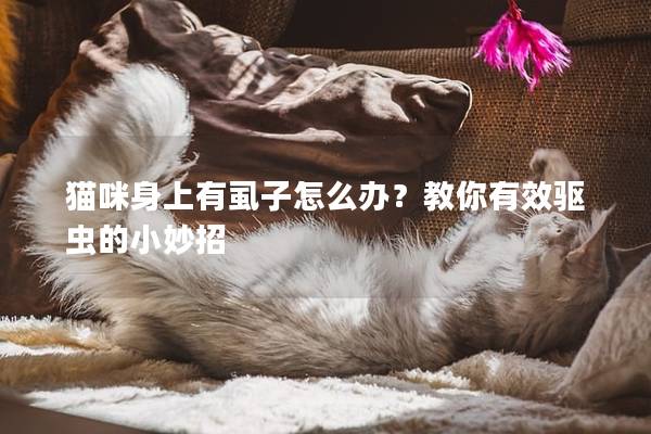 貓咪身上有虱子怎么辦？教你有效驅(qū)蟲的小妙招