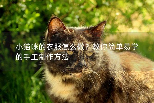 小貓咪的衣服怎么做？教你簡單易學(xué)的手工制作方法