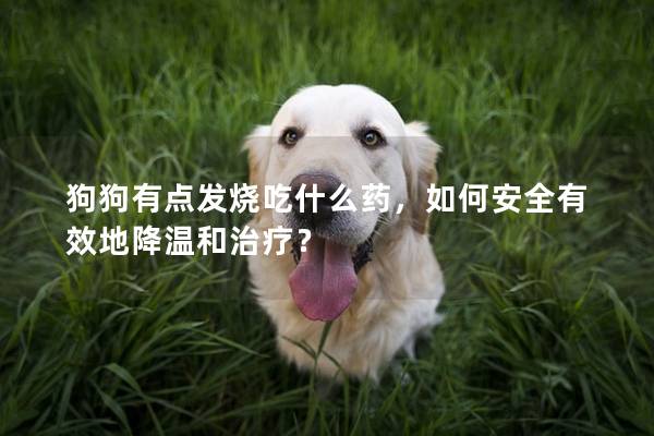 狗狗有點發(fā)燒吃什么藥，如何安全有效地降溫和治療？