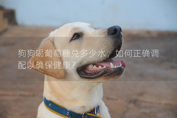 狗狗喝葡萄糖兌多少水，如何正確調配以確保健康？