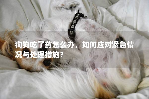 狗狗吃了藥怎么辦，如何應(yīng)對(duì)緊急情況與處理措施？