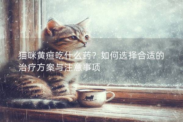 貓咪黃疸吃什么藥？如何選擇合適的治療方案與注意事項