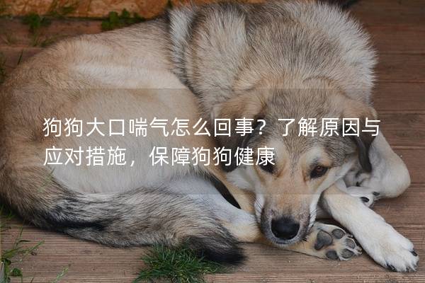 狗狗大口喘氣怎么回事？了解原因與應(yīng)對(duì)措施，保障狗狗健康