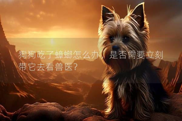 狗狗吃了蟑螂怎么辦，是否需要立刻帶它去看獸醫(yī)？