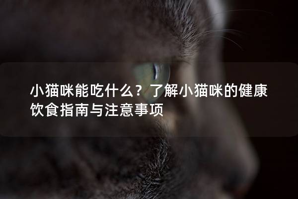 小貓咪能吃什么？了解小貓咪的健康飲食指南與注意事項