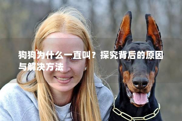 狗狗為什么一直叫？探究背后的原因與解決方法