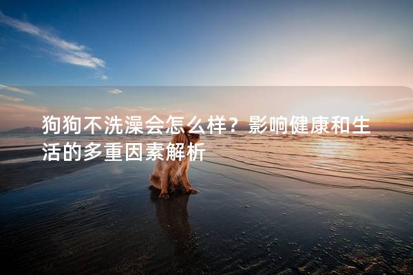 狗狗不洗澡會怎么樣？影響健康和生活的多重因素解析