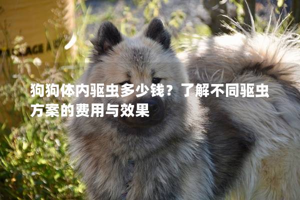 狗狗體內(nèi)驅(qū)蟲多少錢？了解不同驅(qū)蟲方案的費(fèi)用與效果