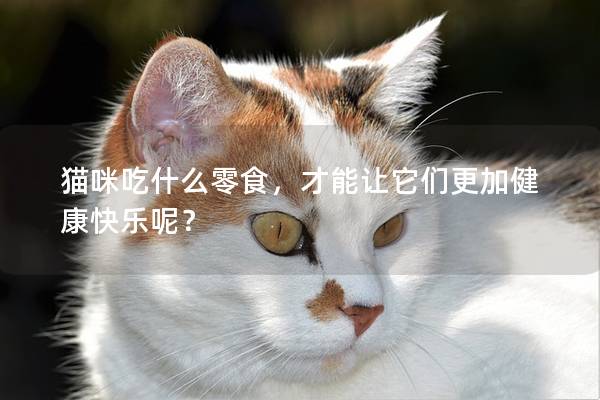 貓咪吃什么零食，才能讓它們更加健康快樂呢？