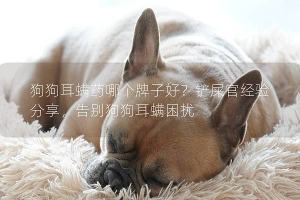 狗狗耳螨藥哪個牌子好？鏟屎官經驗分享，告別狗狗耳螨困擾