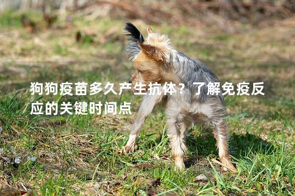 狗狗疫苗多久產生抗體？了解免疫反應的關鍵時間點