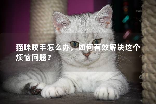 貓咪咬手怎么辦,如何有效解決這個煩惱問題? 貓咪咬手怎么辦,如何有效解決這個煩惱問題?