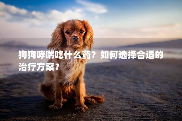 狗狗哮喘吃什么藥？如何選擇合適的治療方案？