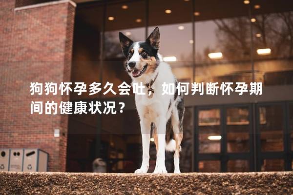 狗狗懷孕多久會吐，如何判斷懷孕期間的健康狀況？