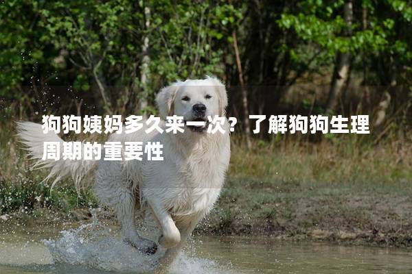 狗狗姨媽多久來一次？了解狗狗生理周期的重要性