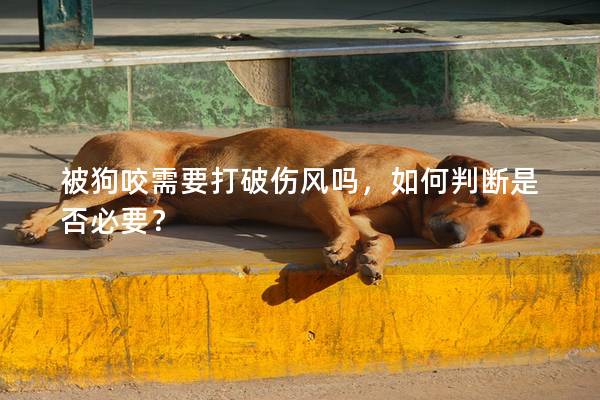 被狗咬需要打破傷風嗎，如何判斷是否必要？