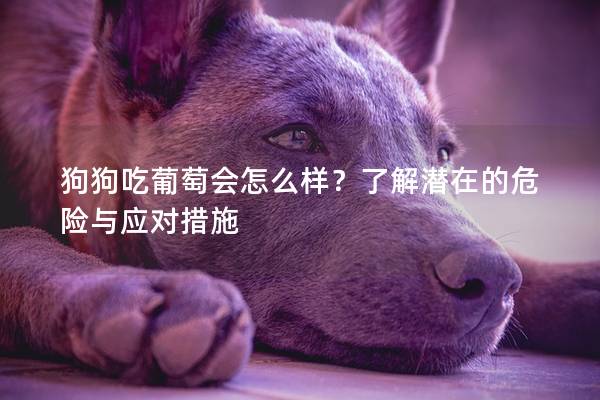 狗狗吃葡萄會怎么樣？了解潛在的危險與應對措施