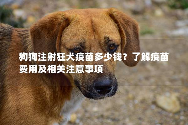 狗狗注射狂犬疫苗多少錢？了解疫苗費用及相關(guān)注意事項