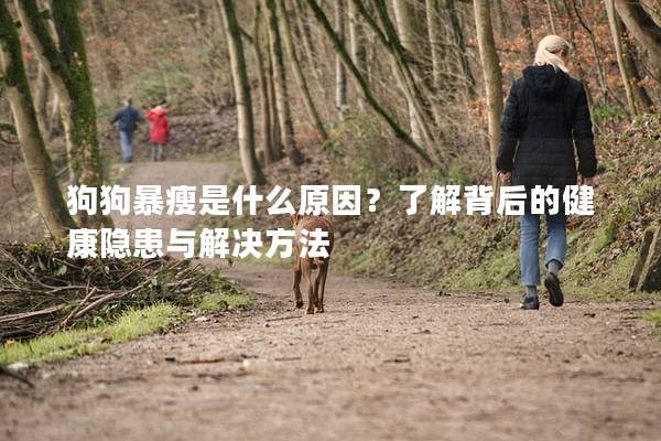 狗狗暴瘦是什么原因？了解背后的健康隱患與解決方法