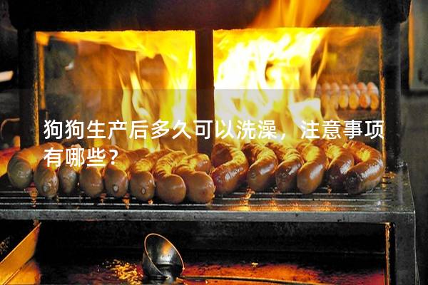 狗狗生產后多久可以洗澡，注意事項有哪些？