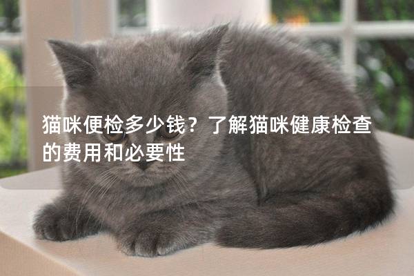 貓咪便檢多少錢？了解貓咪健康檢查的費用和必要性