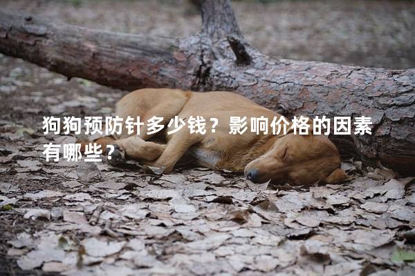 狗狗預防針多少錢？影響價格的因素有哪些？