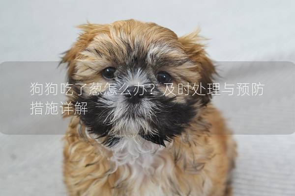 狗狗吃了蔥怎么辦？及時(shí)處理與預(yù)防措施詳解