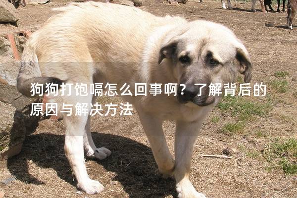 狗狗打飽嗝怎么回事啊？了解背后的原因與解決方法