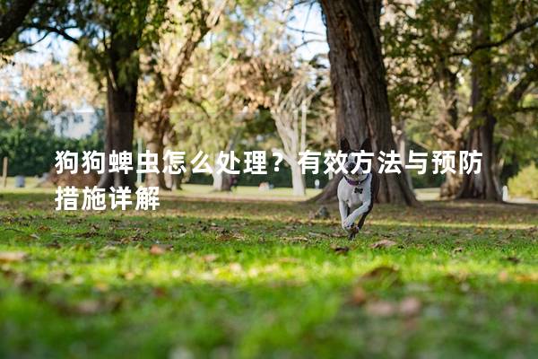 狗狗蜱蟲怎么處理？有效方法與預防措施詳解