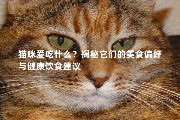 貓咪愛吃什么？揭秘它們的美食偏好與健康飲食建議