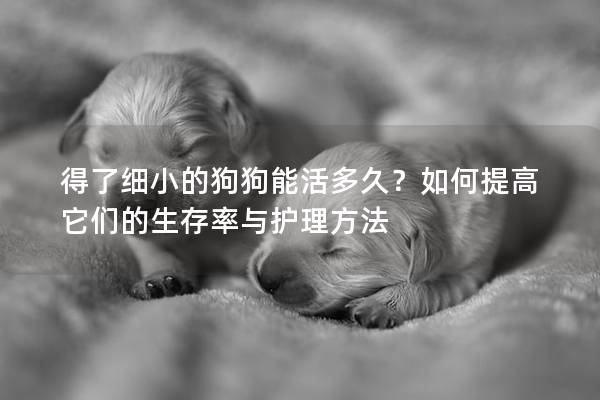 得了細小的狗狗能活多久？如何提高它們的生存率與護理方法