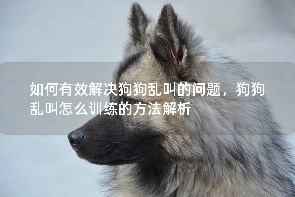 如何有效解決狗狗亂叫的問題，狗狗亂叫怎么訓(xùn)練的方法解析