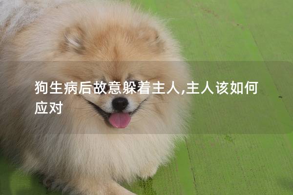 狗生病后故意躲著主人,主人該如何應對