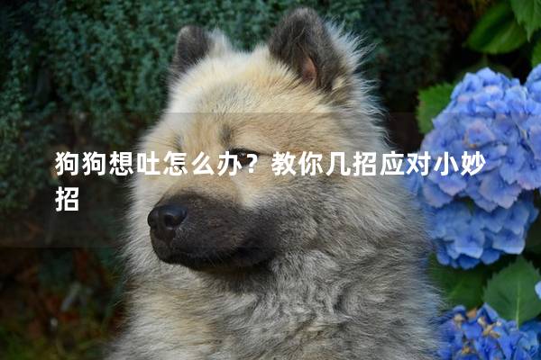 狗狗想吐怎么辦？教你幾招應對小妙招