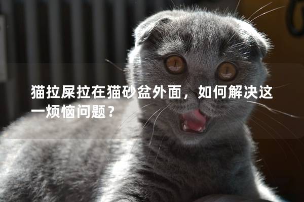 貓拉屎拉在貓砂盆外面，如何解決這一煩惱問(wèn)題？
