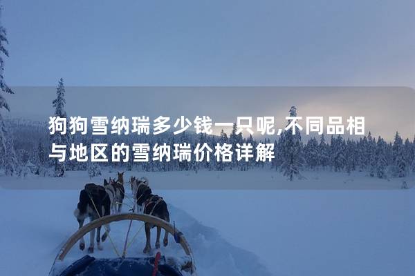 狗狗雪納瑞多少錢一只呢,不同品相與地區的雪納瑞價格詳解