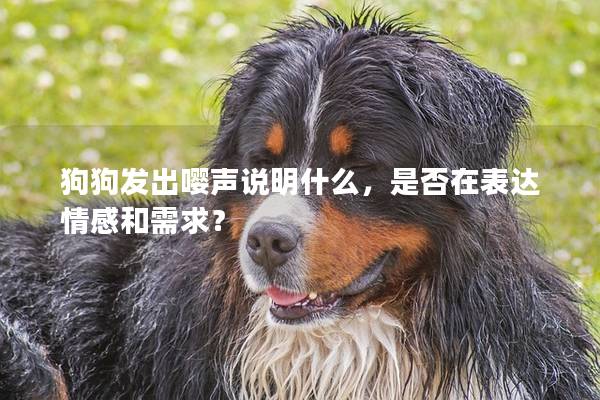 狗狗發(fā)出嚶聲說明什么,是否在表達情感和需求? 狗狗發(fā)出嚶聲說明什么,是否在表達情感和需求?
