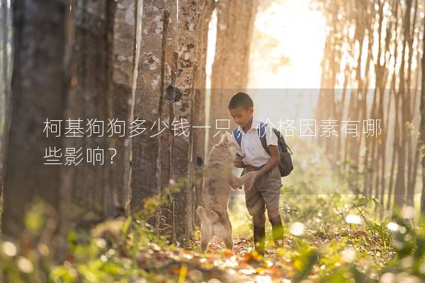 柯基狗狗多少錢一只，價(jià)格因素有哪些影響？