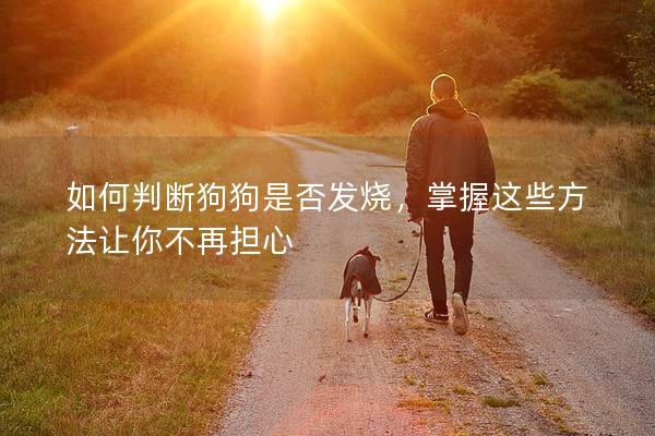 如何判斷狗狗是否發燒，掌握這些方法讓你不再擔心