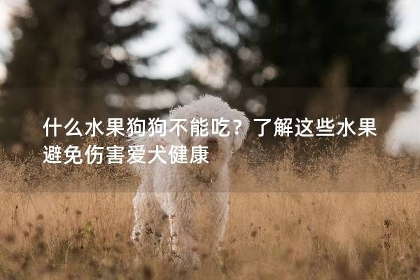 什么水果狗狗不能吃？了解這些水果避免傷害愛犬健康