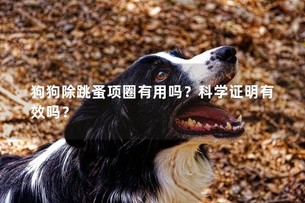狗狗除跳蚤項圈有用嗎？科學證明有效嗎？