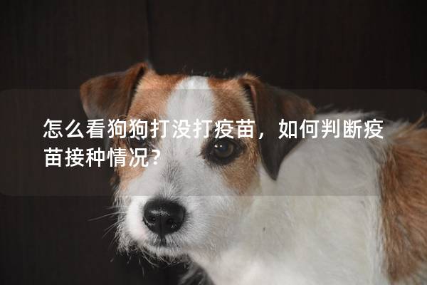 怎么看狗狗打沒打疫苗，如何判斷疫苗接種情況？