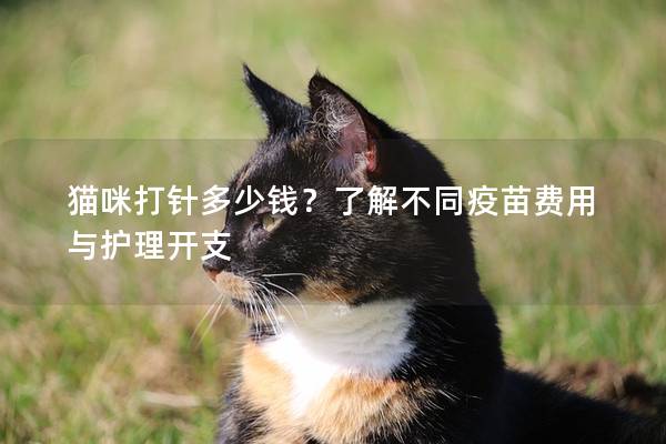 貓咪打針多少錢？了解不同疫苗費用與護理開支