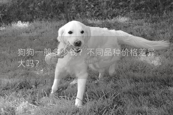 狗狗一般多少錢？不同品種價(jià)格差異大嗎？